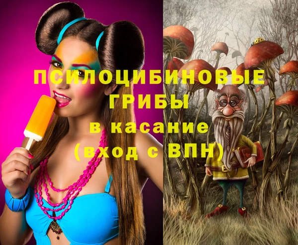 мяу мяу мука Арсеньев