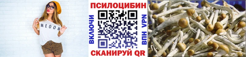 Псилоцибиновые грибы Magic Shrooms  даркнет сайт  Тверь 